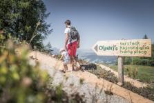 On Olperl's Footsteps