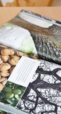 Camera familiare Holzduft