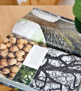 Camera familiare Holzduft