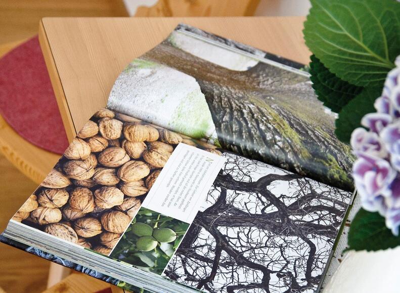 Schreibtisch im Zimmer „Family Profumo di legno“ mit Buch, violetter Blume und Stuhl