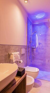Bathroom of the Nature annex room with mirror, sink, bidet, toilet and shower