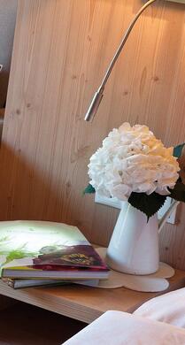 Doppelbett und sofa